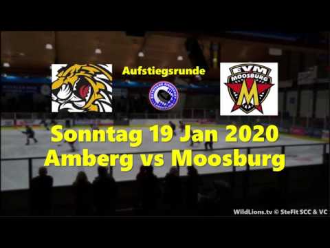 Wild Lions (3) vs Moosburger (1)