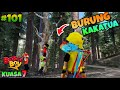 GTA 5 MOD BOBOIBOY KUASA 4 MENCARI BURUNG KAKATUA