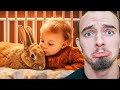 The MOST Adorable Baby and Animal Videos