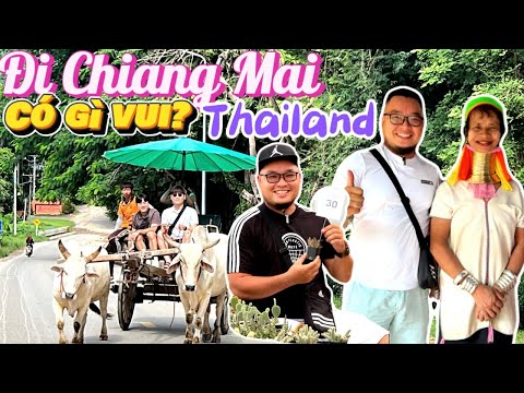 292. P1 Review Thái Lan - Đi Chiang Mai Chiang Rai có vui như đi Bangkok mà sao giá cao gấp đôi!?