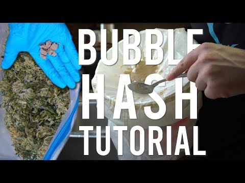 BEGINNERS ICE WATER HASH EXTRACTION TUTORIAL: Turning Shaky Trim Into Bubble Hash Video