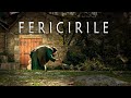 FERICIRILE și STIHIRILE FERICIRILOR Psalții Sfintei Mănăstiri Putna