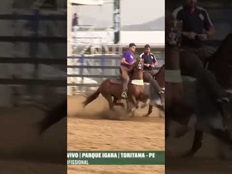 CLASSIFICAÇÃO DA CATEGORIA PROFISSIONAL A TODO VAPOR NO PARQUE IGARA.