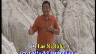 Arvindo Simatupang - Hu Puji Goarmi