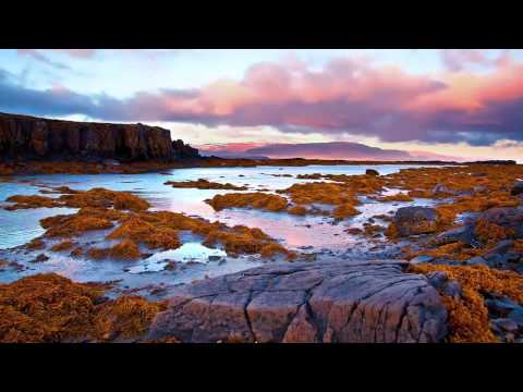 Max Million - The Rout Of Ellipsis