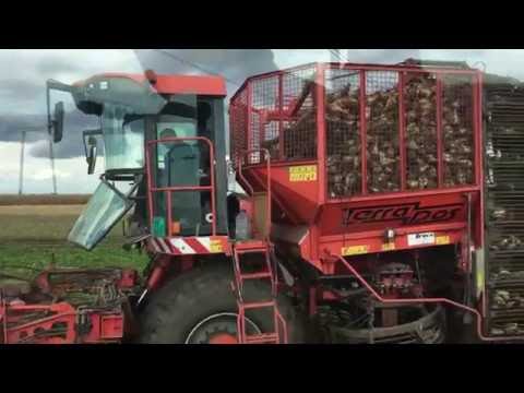 akutna skrb u infarkta miokarda