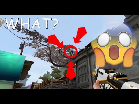 VALORANT 1.11 UPDATE IS BROKEN!!!!