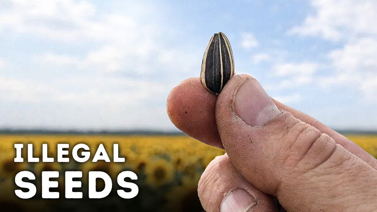 Everyday Things Corporations Banned to Control You