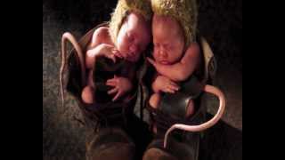 O sono e os sonhos - Livro dos Espíritos