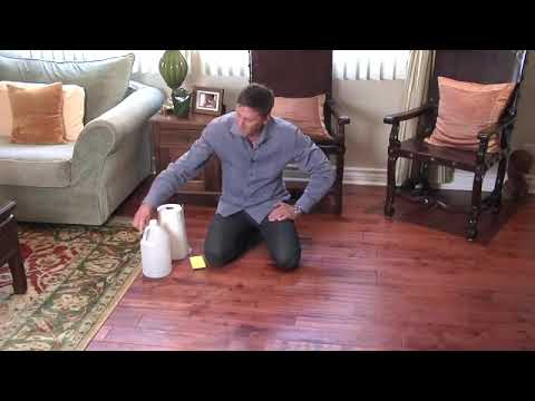 How to Get Cat Urine Smell Out of Hardwood Floors