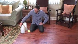 How to Get Cat Urine Smell Out of Hardwood Floors