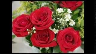 ANGELES AZULES - 20 Rosas HD