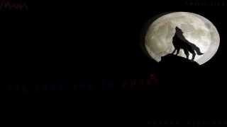 Maná | Un lobo por tu Amor | Adelanto