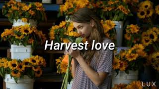 Tash Sultana - Harvest love (español/inglés)