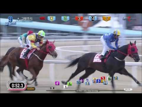Grand Prix Stakes 2016 (English)