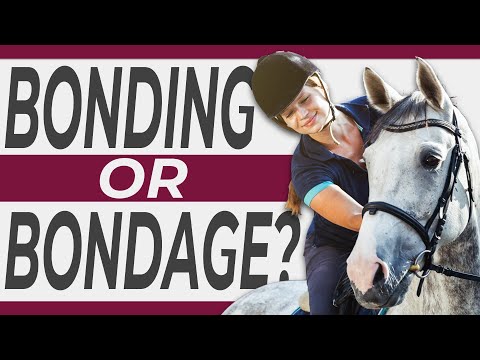Is Horse Riding Cruel? Is It Vegan?