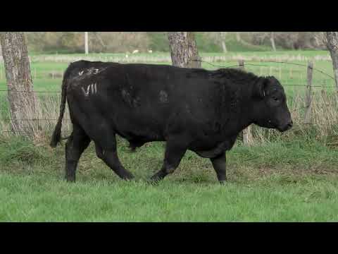 Lot 46  SEVEN HILLS V33 PV