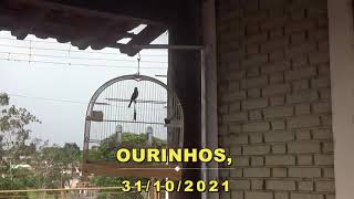 CAMPEONATO ESTADUAL FEBRAPS 2021 - SETIMA ETAPA - ARAÇATUBA - SP