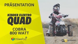 Cobra 800 Watt 🏍️ | Präsentation