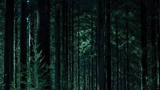 Alpha Bigfoot – Bigfoot’s Wilderness