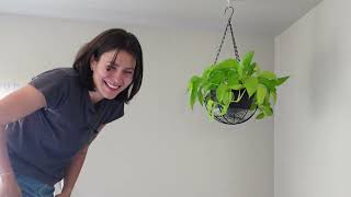 Let’s do plant care!