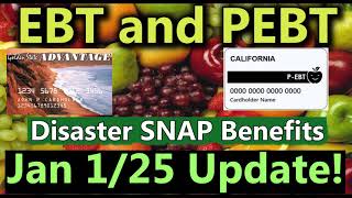 Apply Second Round of PEBT Card and Disaster Benefits Card EBT l January Update SNAP EBT Food Stamps