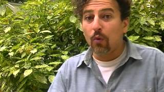 David Wolfe Health Weekend Amsterdam June 2015