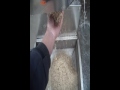 Sesame Dryer
