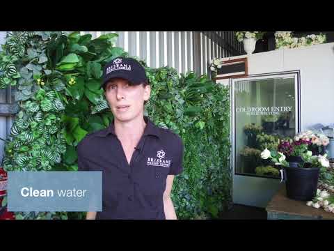 Rocklea | Want The Best Fresh Flowers? You Don’t Have To Go Far!