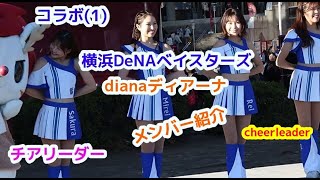 コラボ(1)横浜DeNA ベイスターズ dianaディアーナ  メンバチアリーダー  cheerleader