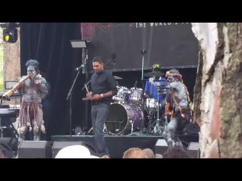 a tiny taste from WOMAD 2019