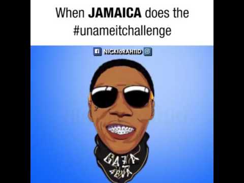 YOU NAME IT CHALLENGE JAMAICAN STYLE ????  DJBLACK305509