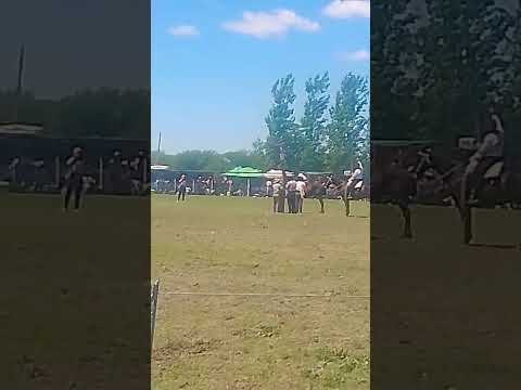 47° fiesta de la tradición buena esperanza San Luis