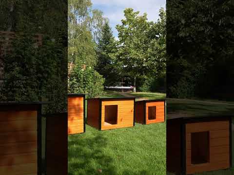 Presentation  Film of Insulated Dog Kennel Model Range with Anti-Chew Metal Profiles and Tilting Roof (DSI)