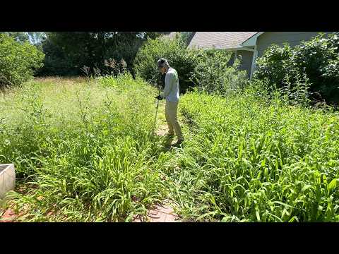 IMAGINE trying to sell your home with this NIGHTMARE next door