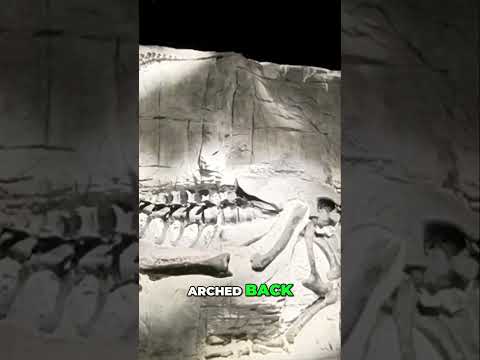 Dinosaur Death Pose: The Secret of Fossil Posture #shorts
