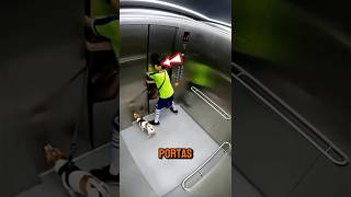 Ele ficou preso no elevador com o seu cachorro!