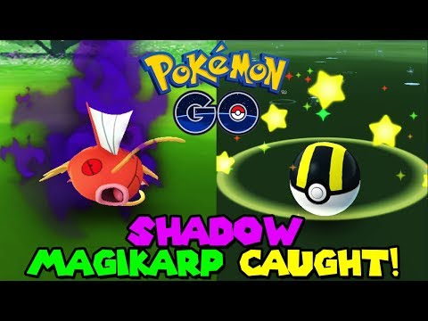 SHADOW MAGIKARP CAUGHT IN POKEMON GO