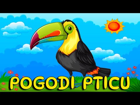 Pogodi Zivotinju - PTICE 🦅 Životinje Za Djecu 🦉 Pepi TV 🦜 Edukativni Crtani Za Decu