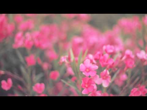 LaVitrola.cl: Dënver - Do You Really Want to Hurt Me