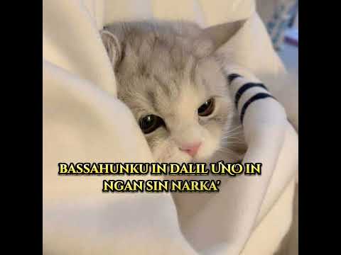 In Tau di' Mag sambahayang Halawum Narka' Shaykh Jabidi Kasim#patumtum_pa_Baran