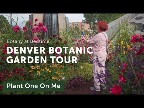 Join Me on a MEDITATIVE WALK Through the DENVER BOTANIC GARDENS — Ep. 287