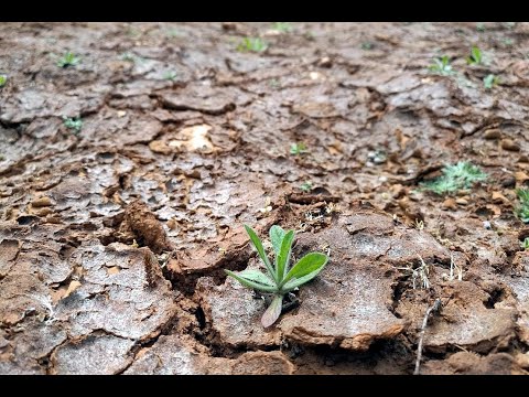 Klimawandel verursacht in Baden-Württemberg steigende Kosten