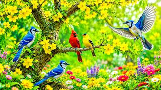 🌸 Relaxing Piano & Birdsongs | Beautiful Flower Garden for Relaxation & Peaceful Sleep