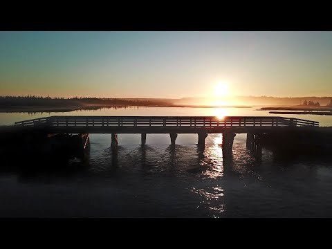 download lagu mp3 mp4 Follow The Sun Compilation, download lagu Follow The Sun Compilation gratis, unduh video klip Follow The Sun Compilation