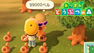 【あつ森】シフォンのどうぶつの森-Day２(2日目)悲報、乞食になるｗ【生配信】