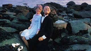 The Soft Boys - Insanely Jealous