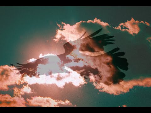 KOSUKE TSUJI x TADAYUKI NAITO "WHITE CROW"