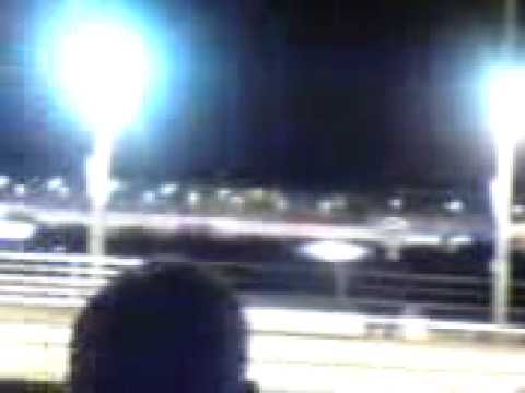 Corrida de cachorros