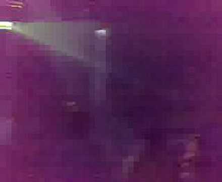 coliseum noche de reyes 2008 07